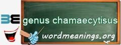 WordMeaning blackboard for genus chamaecytisus